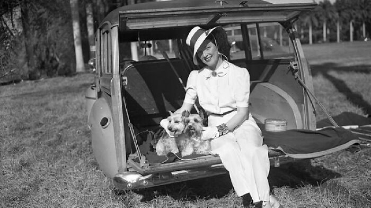 Woman in 1950s Florida outfit sitting on the back of a vintage car with two dogs, showcasing everyday life in Florida.