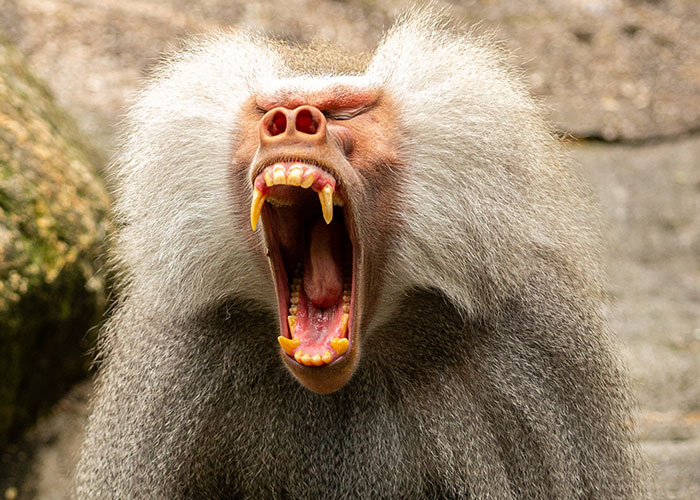 43 Long-Haul Truckers Reveal Nightmarish Encounters That Still Haunt Them