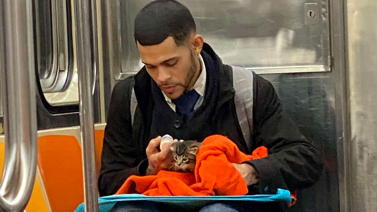 Man feeding a small kitten wrapped in an orange blanket while sitting on a subway train with a backpack.
