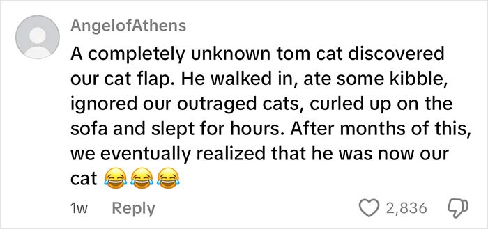 Comment describing a stranger tom cat using a newly installed cat flap and becoming the household cat. Comment describing a stranger tom cat using a newly installed cat flap and becoming the household cat.
