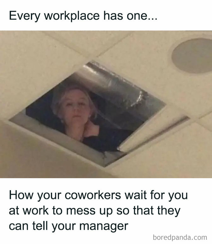 Woman peeking through ceiling tile in an office, illustrating work memes about coworkers waiting to catch mistakes.