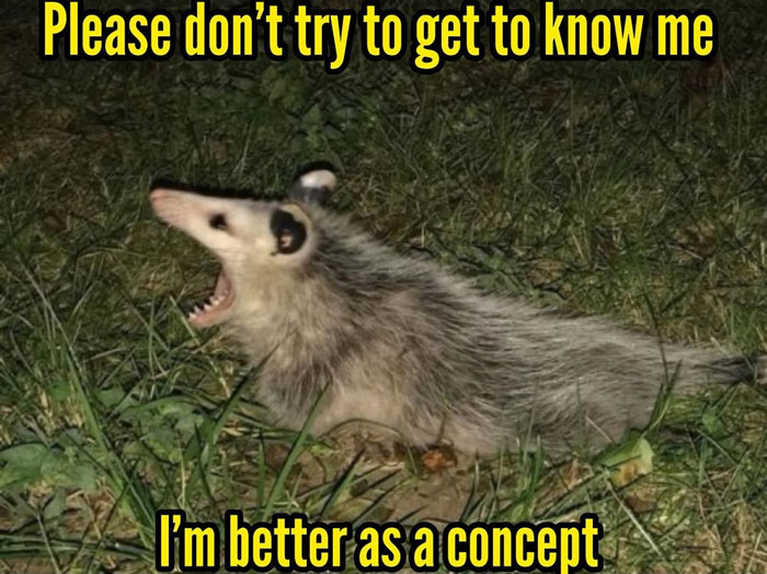 Possum lying on grass at night with mouth open, humorous animal meme for funny and relatable animal memes.