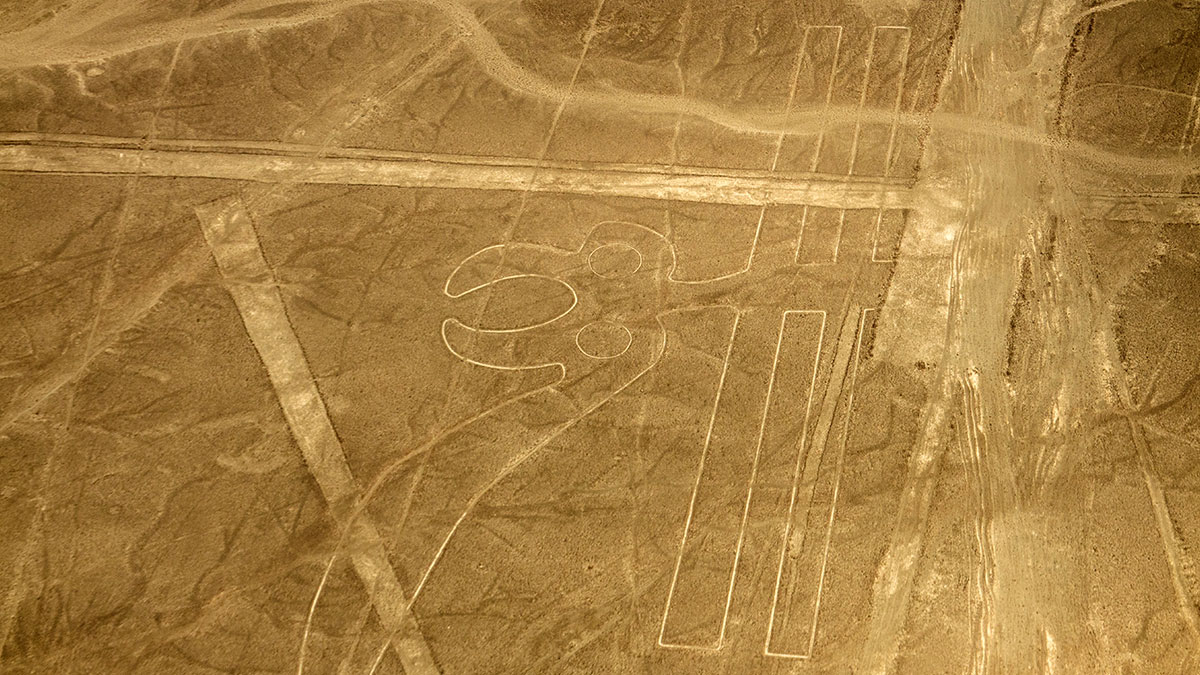 Aerial view of a newly discovered geoglyph among ancient desert lines revealed by AI technology.