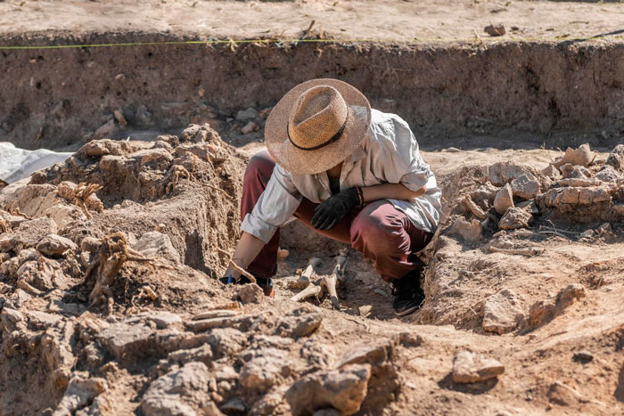 Archaeologist wearing a straw hat carefully excavating ancient site amid geoglyphs discovery aided by AI technology. Archaeologist wearing a straw hat carefully excavating ancient site amid geoglyphs discovery aided by AI technology.