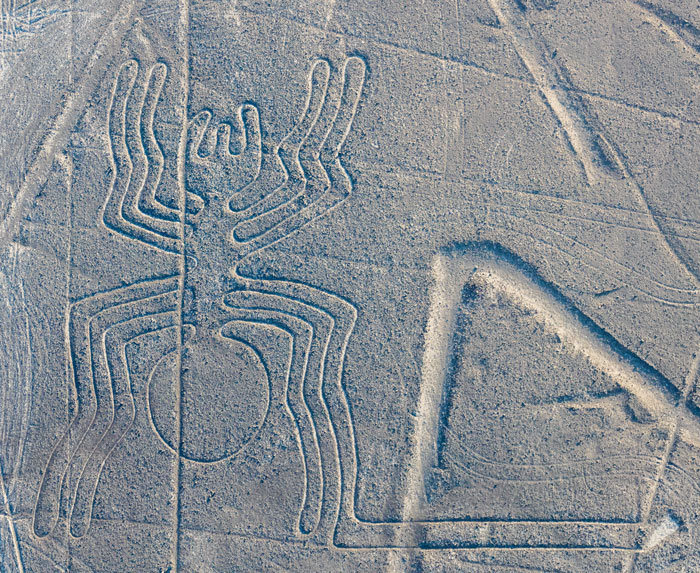 Aerial view of a large ancient geoglyph of a spider discovered with AI, revealing one of history’s biggest puzzles. Aerial view of a large ancient geoglyph of a spider discovered with AI, revealing one of history’s biggest puzzles.