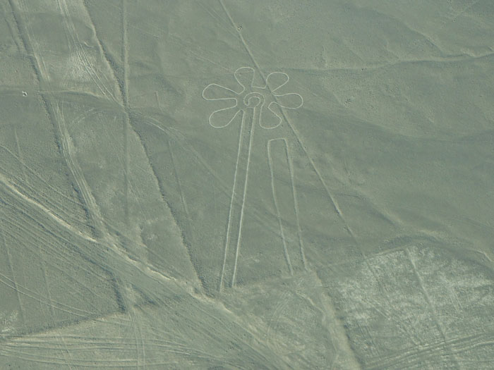 Aerial view of ancient geoglyphs in desert landscape, AI helps discover new 303 geoglyphs in historical mystery. Aerial view of ancient geoglyphs in desert landscape, AI helps discover new 303 geoglyphs in historical mystery.
