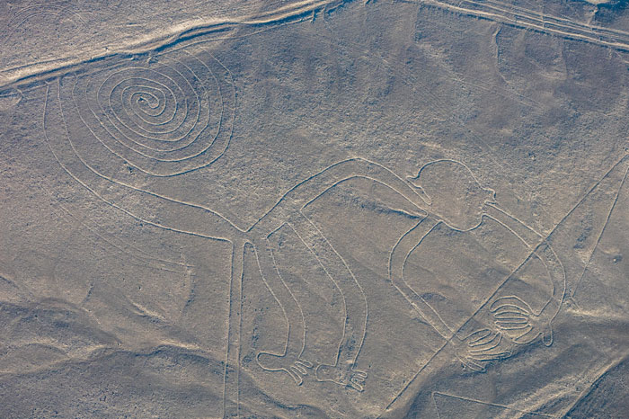 Aerial view of a large geoglyph with spiral and monkey-like shapes, related to AI discoveries of ancient geoglyphs. Aerial view of a large geoglyph with spiral and monkey-like shapes, related to AI discoveries of ancient geoglyphs.