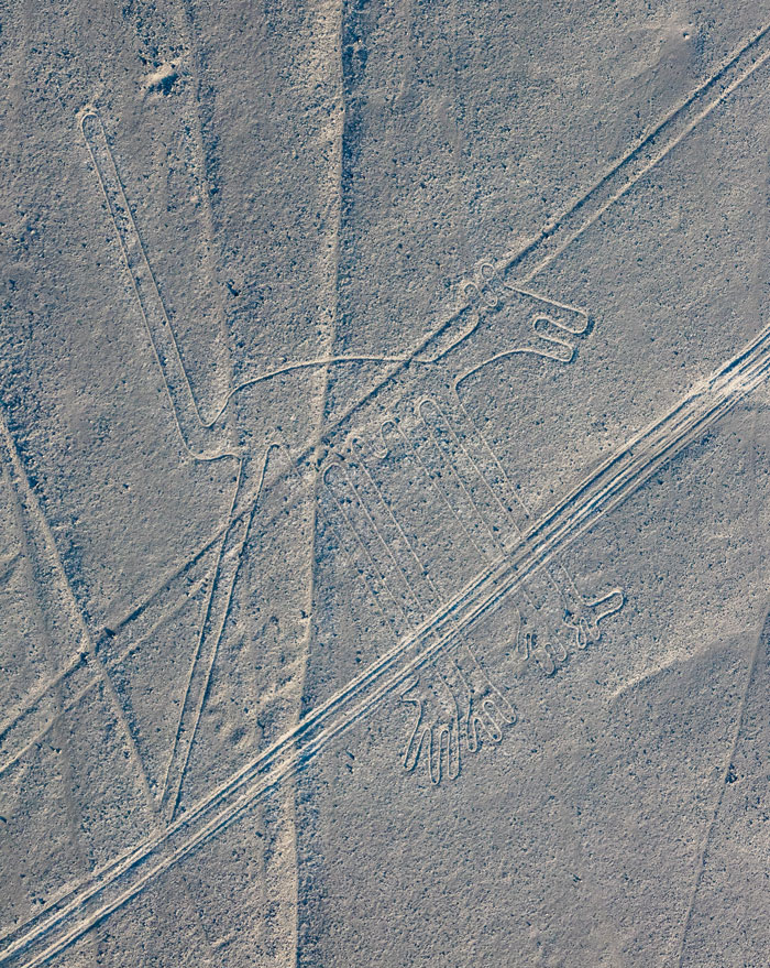 Aerial view of a large geoglyph resembling an animal created by ancient civilizations, discovered with AI assistance. Aerial view of a large geoglyph resembling an animal created by ancient civilizations, discovered with AI assistance.