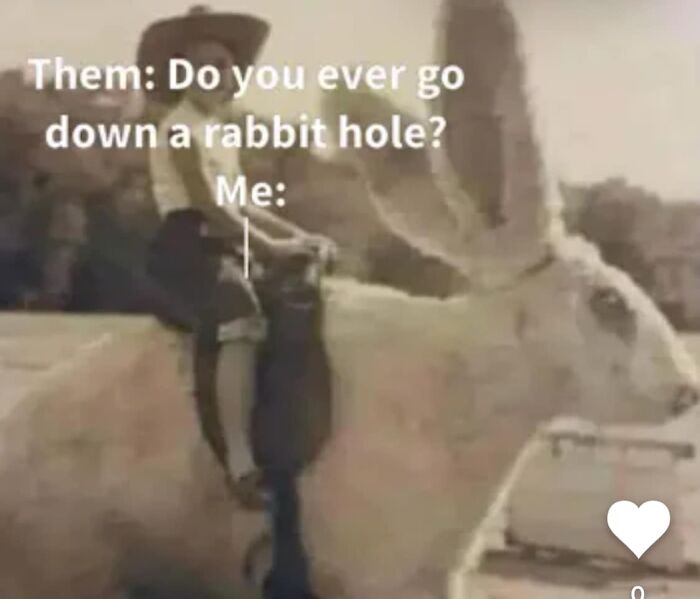 Person riding a giant rabbit illustration, humorously representing neurodivergence and going down a rabbit hole meme.