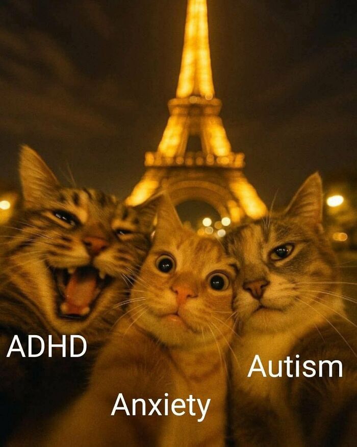 Three cats labeled ADHD, Anxiety, and Autism posing in front of the Eiffel Tower at night, illustrating neurodivergence memes.