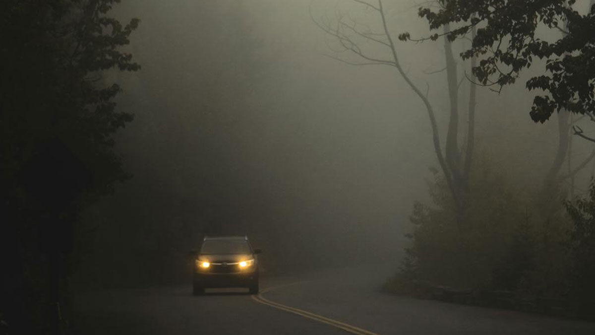 Car driving on a foggy dark road at night, evoking eerie atmosphere linked to night shift workers paranormal encounters.