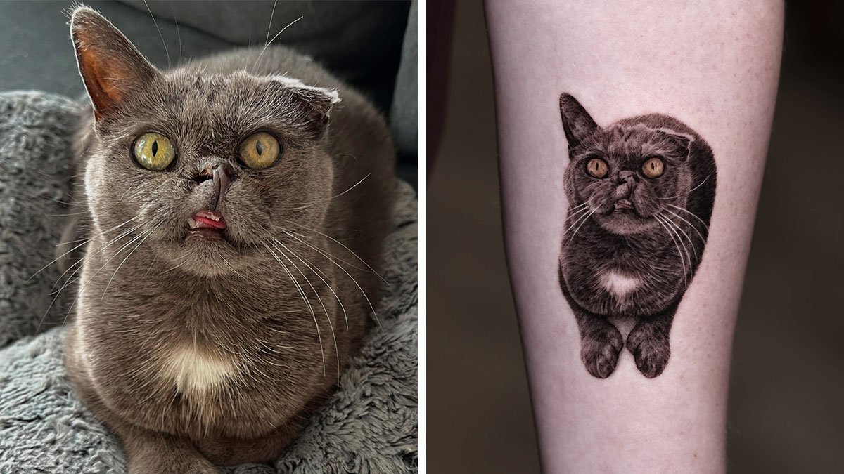 Realistic pet tattoo of a gray cat with yellow eyes inked on a person's arm, matching the actual cat's unique features.
