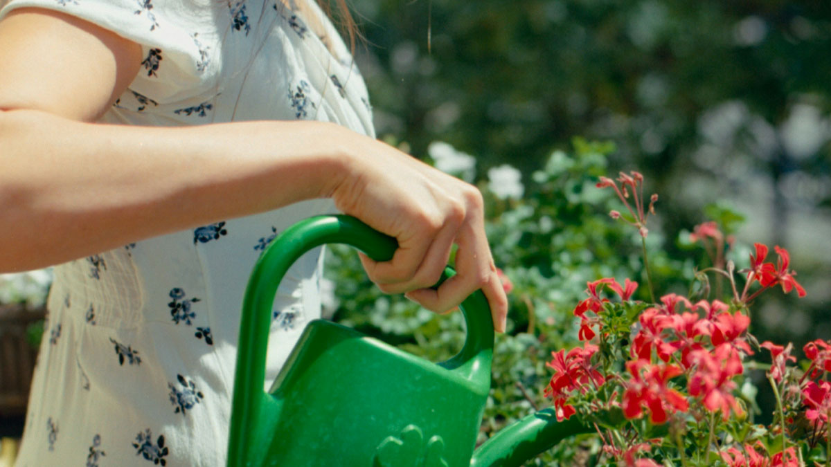 Person watering red flowers outdoors in a garden, illustrating neighbors so petty they had to be shamed online.