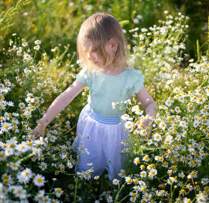 Young girl in a field of daisies, symbolizing the bond of a non-biological child in a fiancé wedding setting. Young girl in a field of daisies, symbolizing the bond of a non-biological child in a fiancé wedding setting.