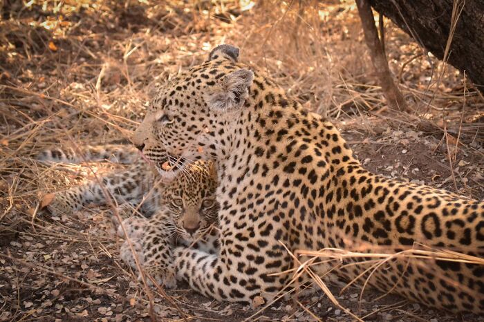 Tired Of Bad News? Here Are 42 Bits Of Good News That Deserve The Spotlight