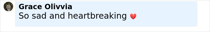 Comment by Grace Olivvia expressing sadness and heartbreak related to the Amy Bradley cruise ship mystery. Comment by Grace Olivvia expressing sadness and heartbreak related to the Amy Bradley cruise ship mystery.