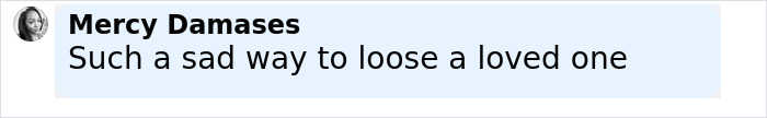 Comment by Mercy Damases expressing sadness about losing a loved one, related to Amy Bradley cruise ship mystery. Comment by Mercy Damases expressing sadness about losing a loved one, related to Amy Bradley cruise ship mystery.