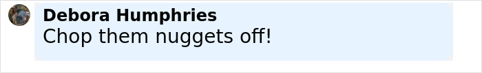 Comment by Debora Humphries on social media saying Chop them nuggets off regarding an assault incident. Comment by Debora Humphries on social media saying Chop them nuggets off regarding an assault incident.