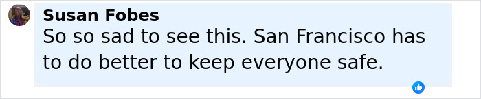 Comment on social media post expressing sadness about safety concerns in San Francisco involving a good Samaritan protecting helpless mom and children. Comment on social media post expressing sadness about safety concerns in San Francisco involving a good Samaritan protecting helpless mom and children.