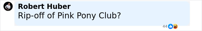 Facebook comment by Robert Huber questioning if something is a rip-off of Pink Pony Club, sparking controversy over Taylor Swift cover art. Facebook comment by Robert Huber questioning if something is a rip-off of Pink Pony Club, sparking controversy over Taylor Swift cover art.