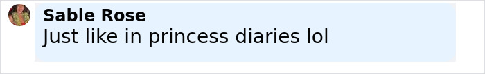 Comment from Sable Rose saying just like in princess diaries lol on a light blue background. Comment from Sable Rose saying just like in princess diaries lol on a light blue background.