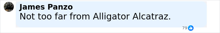 Comment on social media reading Not too far from Alligator Alcatraz by James Panzo with 79 likes. Comment on social media reading Not too far from Alligator Alcatraz by James Panzo with 79 likes.