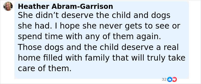 Comment expressing outrage at Florida mother who abandoned child and seven dogs during Vegas vacation. Comment expressing outrage at Florida mother who abandoned child and seven dogs during Vegas vacation.