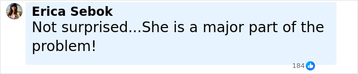 Facebook comment by Erica Sebok saying she is a major part of the problem, related to Minneapolis school attacker’s mother not cooperating. Facebook comment by Erica Sebok saying she is a major part of the problem, related to Minneapolis school attacker’s mother not cooperating.