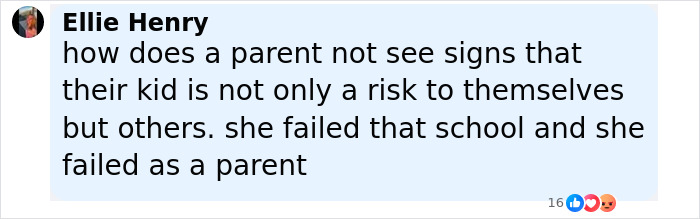 Comment by Ellie Henry criticizing Minneapolis school attacker’s mother for not cooperating and failing as a parent in a heated debate Comment by Ellie Henry criticizing Minneapolis school attacker’s mother for not cooperating and failing as a parent in a heated debate