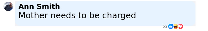 Comment from a user named Ann Smith saying Mother needs to be charged in a discussion about Minneapolis school attacker’s mother not cooperating with cops. Comment from a user named Ann Smith saying Mother needs to be charged in a discussion about Minneapolis school attacker’s mother not cooperating with cops.