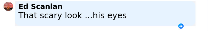 Comment by Ed Scanlan saying That scary look ...his eyes on a social media post about Bryan Kohberger with red hands in jail footage. Comment by Ed Scanlan saying That scary look ...his eyes on a social media post about Bryan Kohberger with red hands in jail footage.
