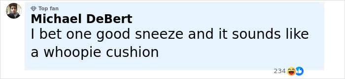 Facebook comment from Michael DeBert joking about a sneeze sounding like a whoopie cushion, labeled as Top Fan. Facebook comment from Michael DeBert joking about a sneeze sounding like a whoopie cushion, labeled as Top Fan.