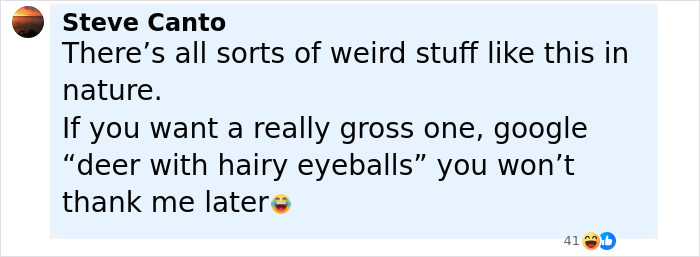 ‘Frankenstein’ Rabbits Spreading In The US Due To Rare Virus Spark Frenzy As Experts Issue Urgent Warning