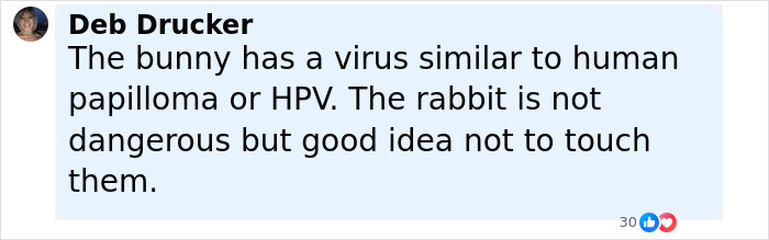 ‘Frankenstein’ Rabbits Spreading In The US Due To Rare Virus Spark Frenzy As Experts Issue Urgent Warning