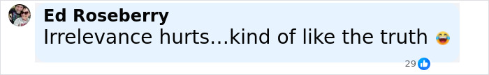 Comment by Ed Roseberry stating irrelevance hurts, related to Lizzo and Sydney Sweeney ad controversy parody online discussion. Comment by Ed Roseberry stating irrelevance hurts, related to Lizzo and Sydney Sweeney ad controversy parody online discussion.