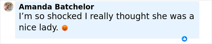 Facebook comment from Amanda Batchelor expressing shock and disappointment related to Ellen DeGeneres bullying controversy claims.