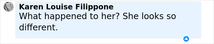 Screenshot of Karen Louise Filippone commenting on social media, questioning Ellen DeGeneres' bullying controversy.