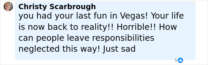 Facebook comment by Christy Scarborough criticizing a Florida mother for abandoning responsibilities and neglecting her child and dogs. Facebook comment by Christy Scarborough criticizing a Florida mother for abandoning responsibilities and neglecting her child and dogs.