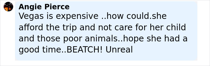 Comment criticizing a Florida mother who abandoned her child and seven dogs for a two-week Las Vegas vacation. Comment criticizing a Florida mother who abandoned her child and seven dogs for a two-week Las Vegas vacation.