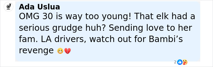 Comment expressing shock over the former Miss Universe contestant’s death at 30 after an elk collision accident. Comment expressing shock over the former Miss Universe contestant’s death at 30 after an elk collision accident.