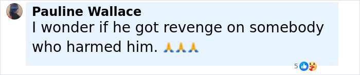 Comment by Pauline Wallace wondering if a man who turned himself in for homicide got revenge on someone who harmed him. Comment by Pauline Wallace wondering if a man who turned himself in for homicide got revenge on someone who harmed him.