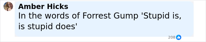 Comment from Amber Hicks referencing Forrest Gump quote about stupidity in a social media post discussing influencer challenges. Comment from Amber Hicks referencing Forrest Gump quote about stupidity in a social media post discussing influencer challenges.