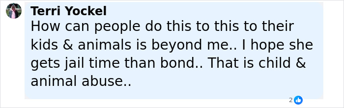 Comment expressing outrage at Florida mother abandoning child and seven dogs, calling it child and animal abuse. Comment expressing outrage at Florida mother abandoning child and seven dogs, calling it child and animal abuse.