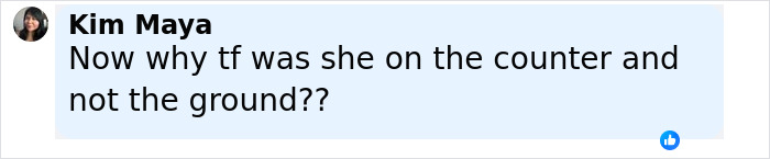 Comment from user Kim Maya questioning why someone was on the counter during the Nicki Minaj stiletto challenge injury. Comment from user Kim Maya questioning why someone was on the counter during the Nicki Minaj stiletto challenge injury.