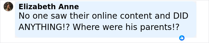 Alt text: Screenshot of a social media comment expressing frustration about the Minneapolis massacre culprit's online content. Alt text: Screenshot of a social media comment expressing frustration about the Minneapolis massacre culprit's online content.