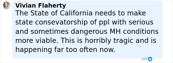 Comment by Vivian Flaherty expressing concern about tragic incidents involving good Samaritans protecting helpless families from attackers. Comment by Vivian Flaherty expressing concern about tragic incidents involving good Samaritans protecting helpless families from attackers.