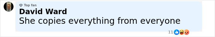 Comment by top fan David Ward saying Meghan Markle copies everything from everyone in a discussion on Pamela Anderson cooking show. Comment by top fan David Ward saying Meghan Markle copies everything from everyone in a discussion on Pamela Anderson cooking show.