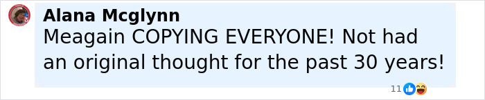 Comment by Alana Mcglynn accusing Meghan Markle of copying, related to Pamela Anderson cooking show controversy. Comment by Alana Mcglynn accusing Meghan Markle of copying, related to Pamela Anderson cooking show controversy.