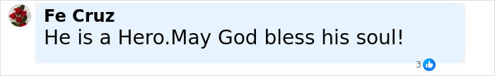 Facebook comment praising good Samaritan as a hero for protecting helpless mom and children from attacker. Facebook comment praising good Samaritan as a hero for protecting helpless mom and children from attacker.