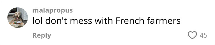 Comment on social media post saying lol don't mess with French farmers, related to a viral story about a farmer spraying squatters with manure. Comment on social media post saying lol don't mess with French farmers, related to a viral story about a farmer spraying squatters with manure.